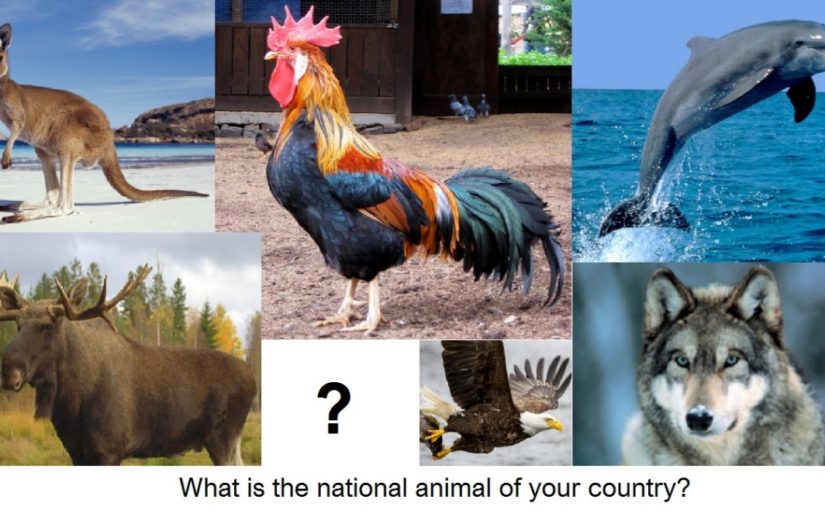 Da li znate koja je nacionalna životinja Bosne i Hercegovine?